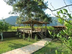 Příroda nedaleko hotelu