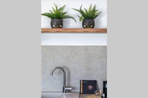 Una cocina o zona de cocina en Apleton Suites