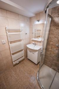 a bathroom with a sink and a shower at Apartmány Mezivodí in Kyčera