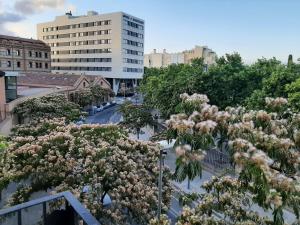 uma vista para uma cidade com árvores e edifícios em OLYMPIC VILLAGE em Barcelona