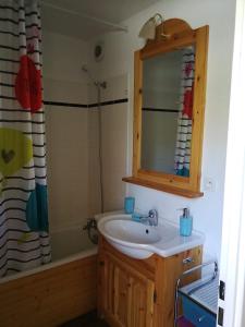 ein Bad mit einem Waschbecken, einer Dusche und einem Spiegel in der Unterkunft Les sybelles in La Chal