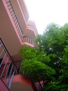 Φωτογραφία από το άλμπουμ του Terra Guest House στη Ράβντα