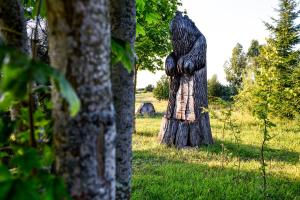 Vonkajšia záhrada v ubytovaní Rezydencja Golland