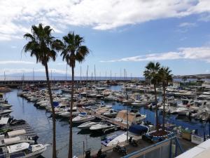 Foto de la galería de Los Geranios, Close to BEACH, Puerto Colon, YellowCat 2 en Adeje