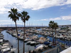a marina filled with lots of boats and palm trees at Los Geranios, Close to BEACH, Puerto Colon, YellowCat 2 in Adeje