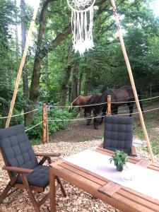 Fotografie z fotogalerie ubytování Glamping Nad Meandry v destinaci Unhošť