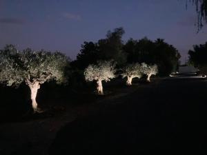 gite la source haut外面的花园