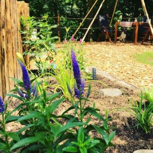 Zahrada ubytování Glamping Nad Meandry