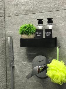 - un lavabo avec 2 bouteilles de savon et une plante dans l'établissement Cozy studio apartment (110), à Breuil-Cervinia