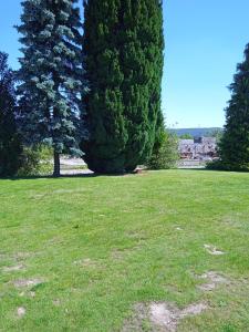ein grünes Feld mit zwei großen Bäumen darin in der Unterkunft La Maison de Heidi in Hazelbourg
