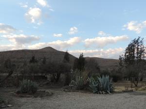 a view of a desert with plants and mountains at Stone Haven at Nieu Bethesda in Nieu-Bethesda