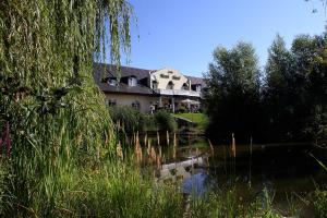Příroda nedaleko hotelu