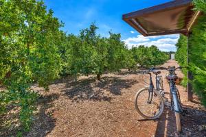 Jazda na bicykli v okolí ubytovania Biniaco