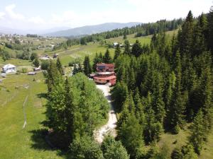 Galeriebild der Unterkunft Perla Sarisorului in Sărişor