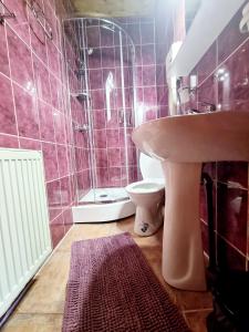 een badkamer met een wastafel, een toilet en een douche bij Pensiunea Don Sergio in Predeal