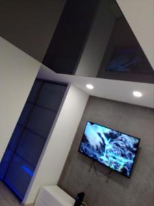 ザモシチにあるSłoneczne Plantyのリビングルーム(天井に薄型テレビ付)