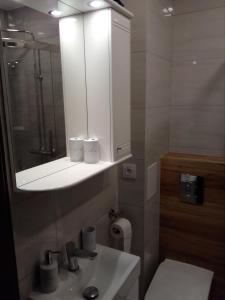 W łazience znajduje się umywalka, lustro i toaleta. w obiekcie Słoneczne Planty w mieście Zamość