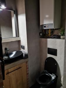 Kuchyňa alebo kuchynka v ubytovaní Apartament SPOKOLOKO Wiślańska Złoty B1