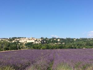 Foto de la galería de LA MAISON D’ALICE en Sault-de-Vaucluse