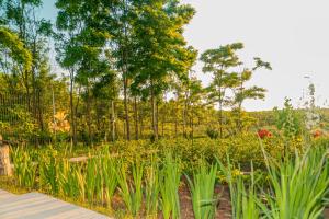 a garden with a fence and some plants at PENSIUNEA AGROTURISTICA VALENTINO in Costinesti