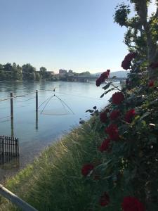 a view of a body of water with a net at Rhein Promenade in Basel