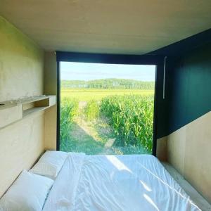 a bed in a room with a large window at Maïsterplan in Damme
