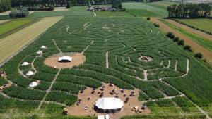 an aerial view of a field with a maze at Maïsterplan in Damme