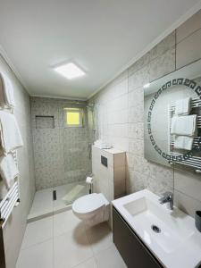 ein Badezimmer mit einem WC, einem Waschbecken und einem Spiegel in der Unterkunft Pensiunea Sport in Buşteni