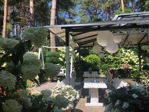 Ogród w obiekcie Villa Siesta