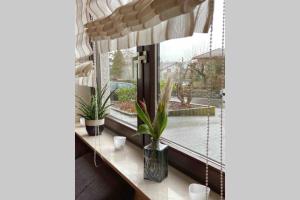 a window with a table with a plant in it at Ferienwohnung Wille in Climbach