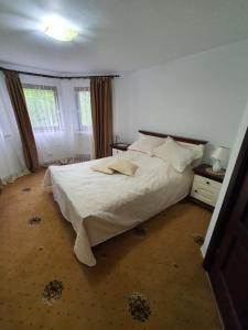 Llit o llits en una habitació de Casa Sofia Bucovina