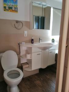 a bathroom with a toilet and a sink at Endes Dreiseithof - Apartment in Schliengen