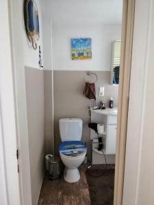a small bathroom with a toilet and a sink at Endes Dreiseithof - Apartment in Schliengen