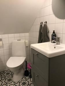 a bathroom with a toilet and a sink at Österlens bä och bädd in Kivik