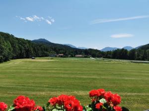 ein grünes Feld mit roten Blumen und Bergen im Hintergrund in der Unterkunft Ferienwohnungen am Alpenrand in Siegsdorf