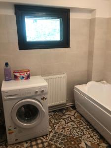a bathroom with a washing machine and a sink at CASUTA MAMAIEI LIZETA - Baltatesti in Bălţăteşti