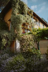 a building covered in ivy with flowers on it at Villa Schindler in Manerba del Garda +95 photos
