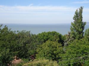 フォニョードにあるTraumblick Appartement am Balatonの木々からの海の景色