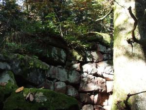 una pared de piedra con árboles y plantas. en Auberge d'Hôtes l'Instant, en Le Hohwald