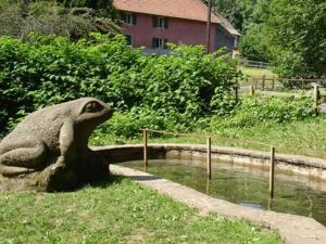 a statue of a frog sitting in the grass at Auberge d'Hôtes l'Instant in Le Hohwald