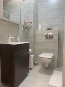 a bathroom with a sink and a toilet in it at Apartament delmar (Ștefan building resort) in Mamaia Nord