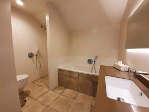 een badkamer met een bad, een toilet en een wastafel bij Schaluinenhoeve in Baarle-Nassau