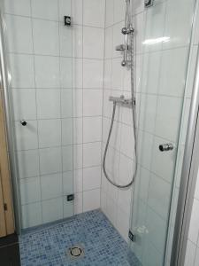 a bathroom with a shower with a glass door at Ferienwohnung Hain in Birnbaum