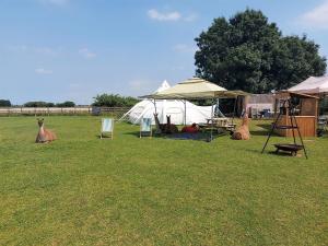 a group of tents in a field with grass at Glamping with Llamas in Wisbech