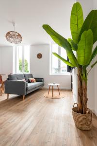 a living room with a couch and a plant at Frenchyhomes☆coeurdegujan☆bassin☆marché☆WIFI in Gujan-Mestras