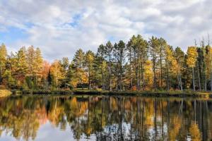 a lake with trees reflecting in the water at Whole home, private lake, sauna, WFH office in Michigamme +8 photos