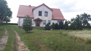 a house in a field with a dirt road at Ranczo in Działek