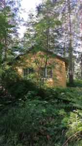 a small house in the middle of a forest at Гостевой дом в лесу in Tavda