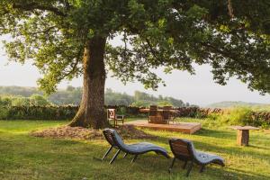 two chairs sitting in the grass under a tree at La douce France in Collonges la rouge