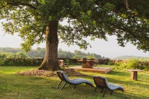 deux chaises assises dans l'herbe sous un arbre dans l'établissement La douce France, à Collonges